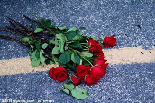 《被爱丢弃的玫瑰》(林箫)歌词555uuu下载