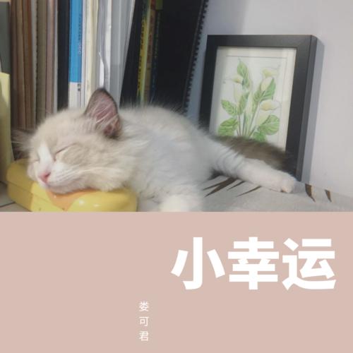 《小幸运(Cover 田馥甄)》LRC歌词 《小幸运(Cover 田馥甄)》(IR拖鞋)歌词555uuu下载