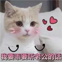 《听老公的话》LRC歌词 《听老公的话》(弓秀丽)歌词555uuu下载