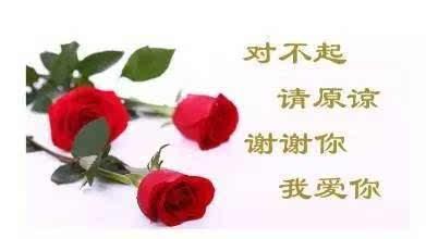 《我爱你但是对不起》LRC歌词 《我爱你但是对不起》(苏霏&shelly佳)歌词555uuu下载