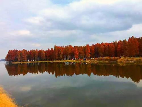 《过季的风景》LRC歌词 《过季的风景》(安婧)歌词555uuu下载