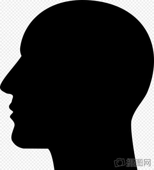 《侧脸的轮廓》LRC歌词 《侧脸的轮廓》(苏凉辰&术娜)歌词555uuu下载