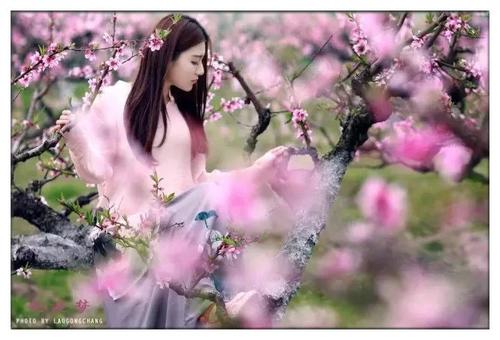 《桃花梦》LRC歌词 《桃花梦》(徐铭志)歌词555uuu下载
