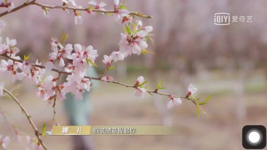 《岁月缝花》LRC歌词 《岁月缝花》(陈学冬)歌词555uuu下载