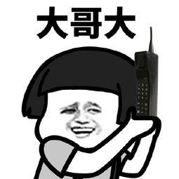 《大哥大哥》LRC歌词 《大哥大哥》(汤潮)歌词555uuu下载