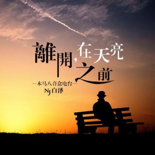 《不一定要说再见》LRC歌词 《不一定要说再见》(王馨平)歌词555uuu下载