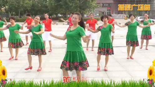 《花开的时候你就来看我广场舞》LRC歌词 《花开的时候你就来看我广场舞》(张冬玲)歌词555uuu下载