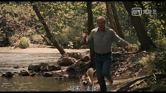 《不要放弃爱你的人》LRC歌词 《不要放弃爱你的人》(谭咏麟)歌词555uuu下载
