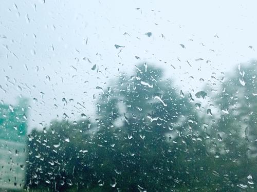《花季里的一场雨》LRC歌词 《花季里的一场雨》(李元棠)歌词555uuu下载