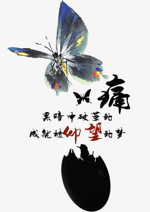 《破茧成蝶》LRC歌词 《破茧成蝶》(宿醉乐队)歌词555uuu下载