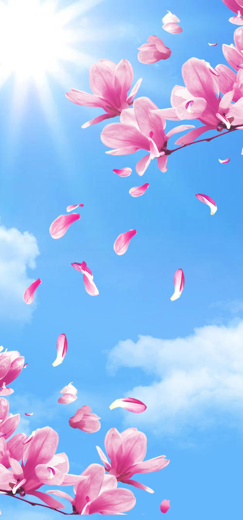 《花开只为等你来》LRC歌词 《花开只为等你来》(孙晓雨)歌词555uuu下载