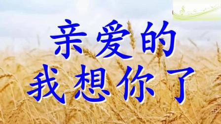 《请不要再放情歌》LRC歌词 《请不要再放情歌》(冯千芮)歌词555uuu下载