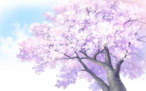 《雨樱花》LRC歌词 《雨樱花》(洛天依)歌词555uuu下载
