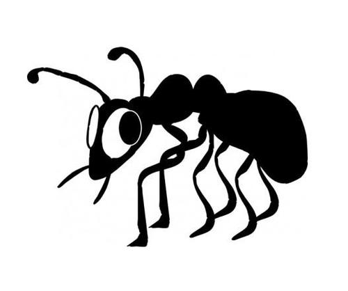 《ANT》LRC歌词 《ANT》(夏小佐)歌词555uuu下载