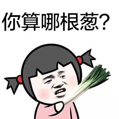 《算个啥》LRC歌词 《算个啥》(晨熙)歌词555uuu下载