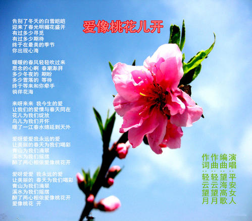 《爱像桃花儿开》LRC歌词 《爱像桃花儿开》(望海高歌)歌词555uuu下载