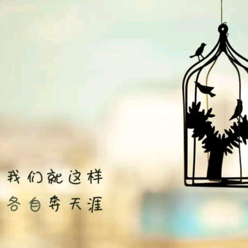 《别做世上负心人》LRC歌词 《别做世上负心人》(王馨,喻嘉)歌词555uuu下载