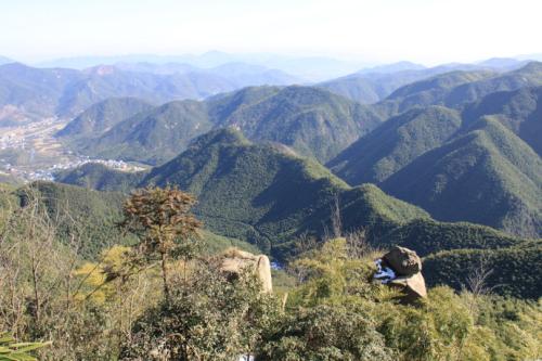 《山沟沟》(那英)歌词555uuu下载