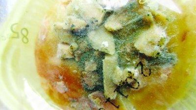 《变质》LRC歌词 《变质》(阿庆,欧欧)歌词555uuu下载