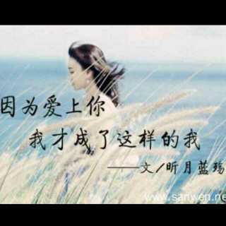《因为爱上你》LRC歌词 《因为爱上你》(黎念)歌词555uuu下载