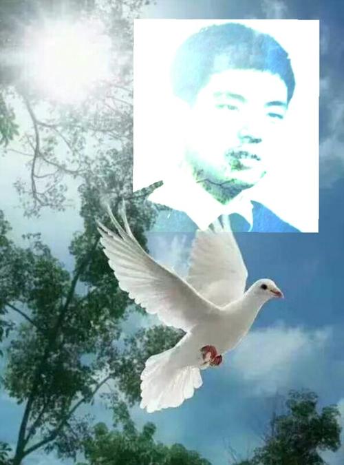 《爱如水中月》LRC歌词 《爱如水中月》(姚贝娜)歌词555uuu下载