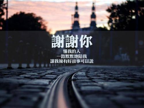 《感谢我的朋友圈有你》LRC歌词 《感谢我的朋友圈有你》(余洋)歌词555uuu下载