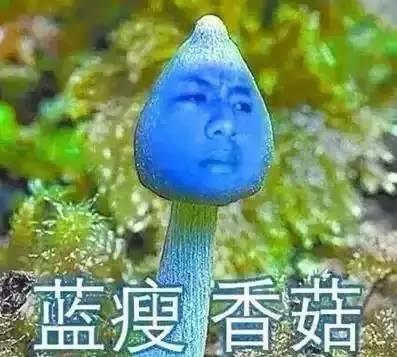 《蓝瘦香菇》(蒙面哥)歌词555uuu下载