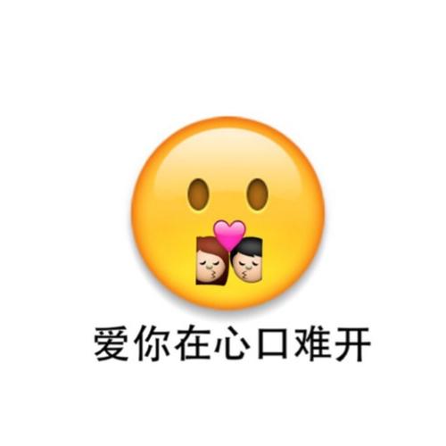 《爱你在心口难开》LRC歌词 《爱你在心口难开》(凤飞飞)歌词555uuu下载