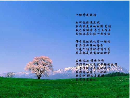 《一颗开花的树》LRC歌词 《一颗开花的树》(任妙音)歌词555uuu下载