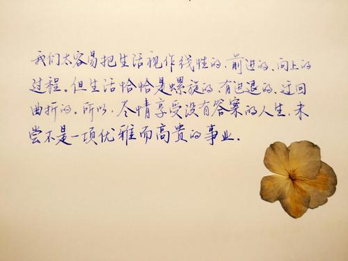 《没有答案》LRC歌词 《没有答案》(严爵)歌词555uuu下载