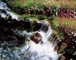 《花溪水》LRC歌词 《花溪水》(李谷一)歌词555uuu下载