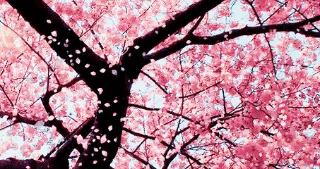 《落花成泥》LRC歌词 《落花成泥》(鞠婧祎)歌词555uuu下载