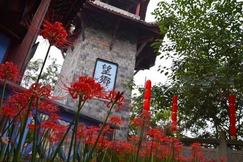 《在彼岸盛开》LRC歌词 《在彼岸盛开》(高兰萨朵)歌词555uuu下载