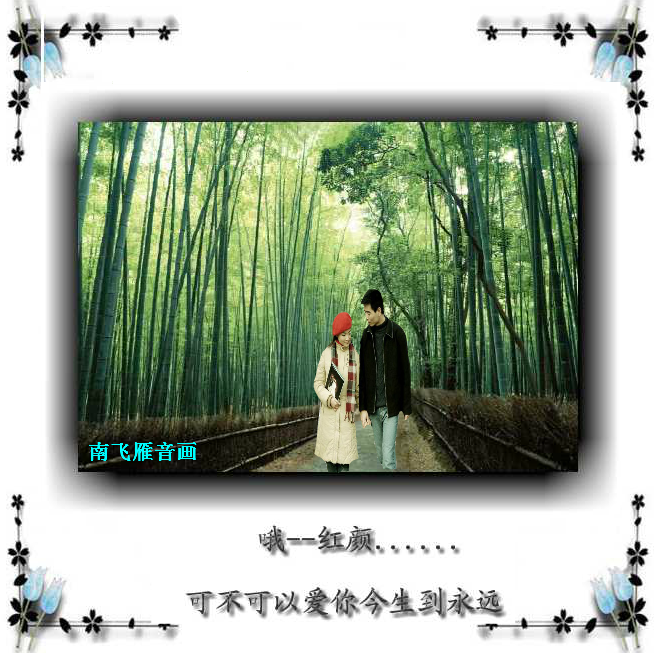 《爱你今生到永远》LRC歌词 《爱你今生到永远》(刘科)歌词555uuu下载