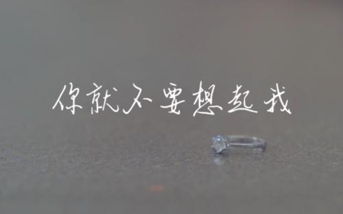 《你就不要想起我》LRC歌词 《你就不要想起我》(Hebe(S.H.E))歌词555uuu下载