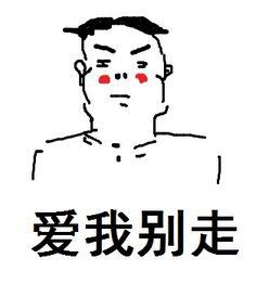 《爱我别走》LRC歌词 《爱我别走》(童丽)歌词555uuu下载
