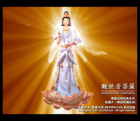 《再现观世音菩萨》LRC歌词 《再现观世音菩萨》(孟杨)歌词555uuu下载