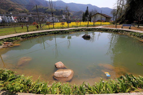 《池塘边》LRC歌词 《池塘边》(晓雨)歌词555uuu下载