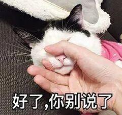 《你别说了》LRC歌词 《你别说了》(陈娟儿)歌词555uuu下载