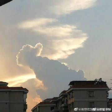 《云一定知道》LRC歌词 《云一定知道》(王晰)歌词555uuu下载
