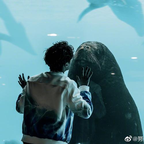 《转眼一生转身一世》LRC歌词 《转眼一生转身一世》(张靓颖)歌词555uuu下载