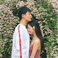 《爱情好像一张网》LRC歌词 《爱情好像一张网》(罗有爽)歌词555uuu下载