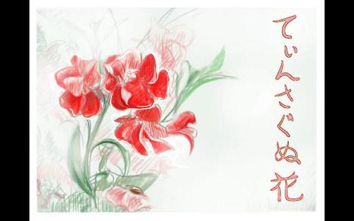 《てぃんさぐぬ花》LRC歌词 《てぃんさぐぬ花》(島袋寛子)歌词555uuu下载