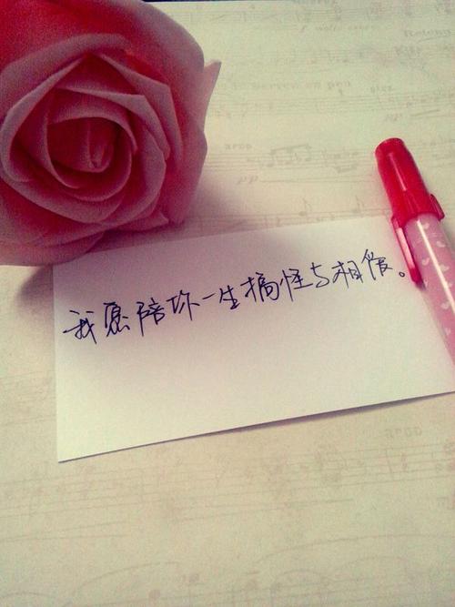 《让我陪你过一生》LRC歌词 《让我陪你过一生》(顾莉雅,金波)歌词555uuu下载