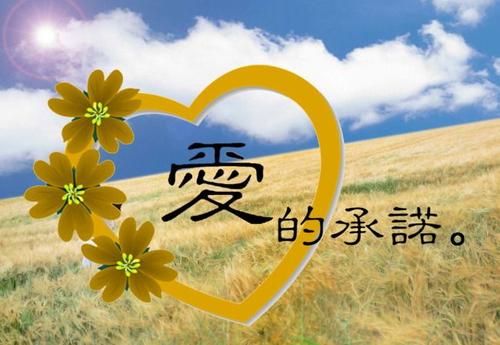 《给爱的承诺》LRC歌词 《给爱的承诺》(丁紫&潘绮红)歌词555uuu下载
