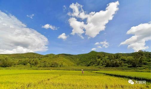 《情深意浓》LRC歌词 《情深意浓》(杭娇)歌词555uuu下载
