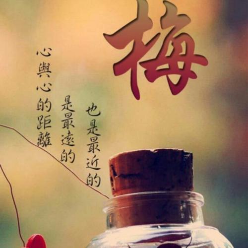 《和你相识不后悔》LRC歌词 《和你相识不后悔》(时嘉)歌词555uuu下载