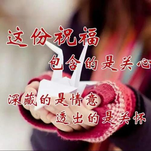 《听不完的情歌流不完的泪》LRC歌词 《听不完的情歌流不完的泪》(张师羽)歌词555uuu下载
