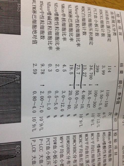 《什么都懂了》(龙梅子)歌词555uuu下载