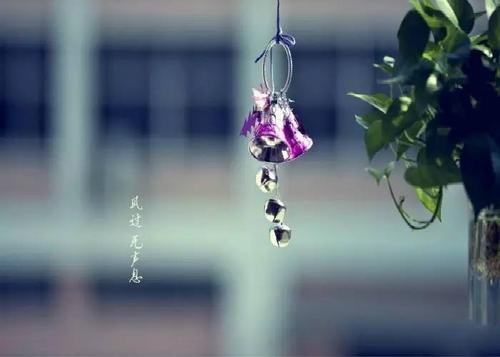 《风吹风铃我想你》LRC歌词 《风吹风铃我想你》(印子月)歌词555uuu下载